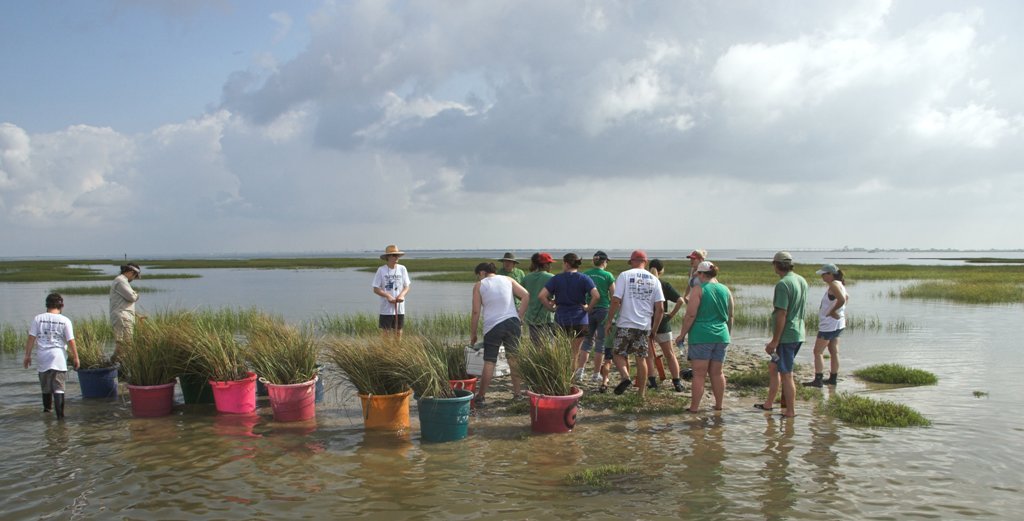 Photo 5 from RESTORE AMERICA'S ESTUARIES